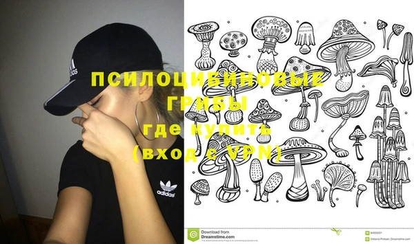 бошки Верхний Тагил