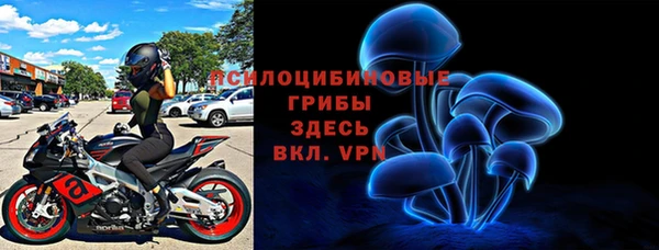 бошки Верхний Тагил